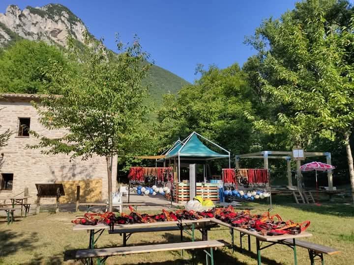 Gruppo di ragazzi in una gita scolastica al parco avventura