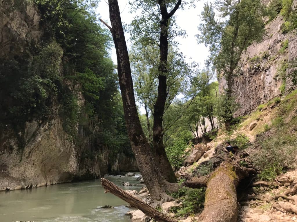 Attraversamento del fiume Sentino tra gli alberi